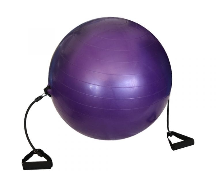 Μπάλα Γυμναστικής με Ιμάντες 60cm Welfit W2610