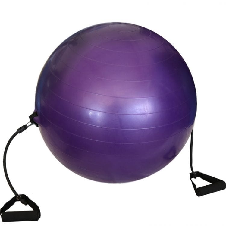 Μπάλα Γυμναστικής με Ιμάντες 60cm Welfit W2610