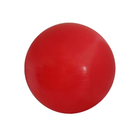 Μπάλα Γυμναστικής 65cm Perk Sports PBL3102-65