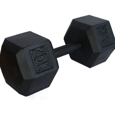 Επαγγελματικός Εξάγωνος Αλτήρας Σίδερο 25kg Welfit RO571-25