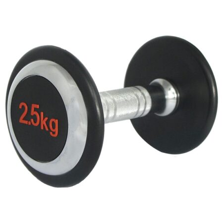 Επαγγελματικός Αλτήρας 2.5kg Deluxe Perk Sports PD103-2.5